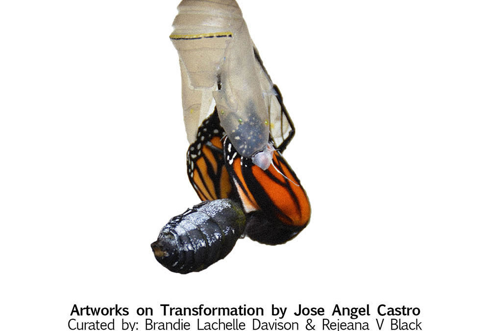 Chrysaline: Artworks on Transformation by Jose Angel Castro