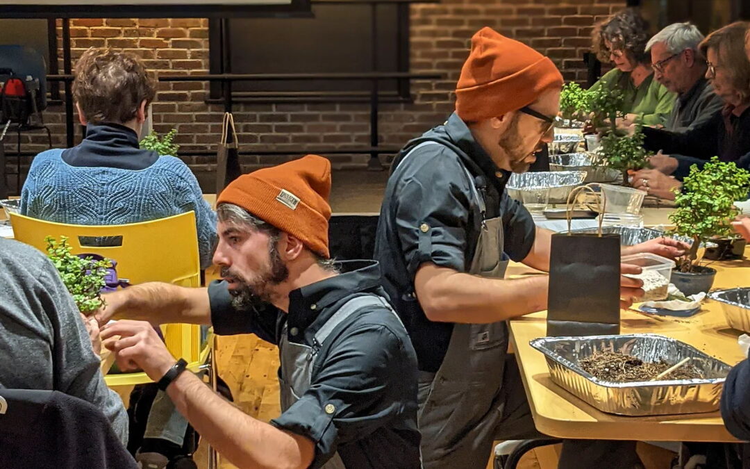 Bonsai Workshop at Long Beach Beer Lab (Wrigley)
