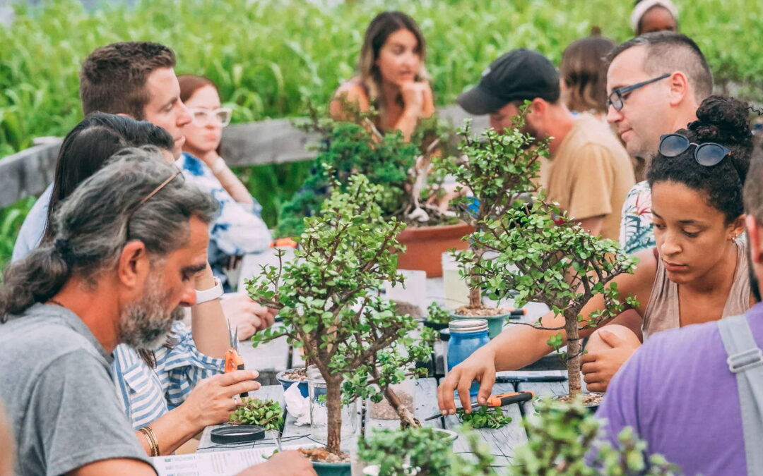 Bonsai Workshop at Belmont Brewing Company