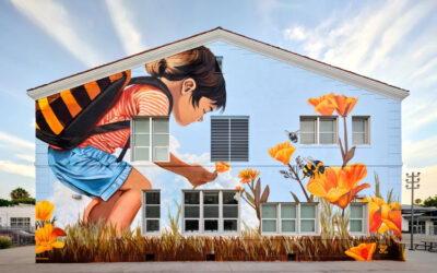 Seeds for the Future