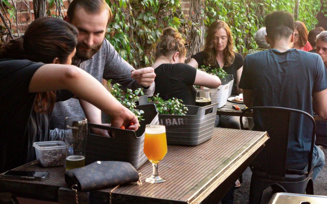 Bonsai Workshop at Belmont Brewing Company